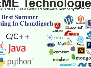 Best Summer Training In Chandigarh