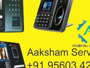Online Jobs | Part Time Jobs | Home Based Online jobs | Data Entry Jobs Without Investment.